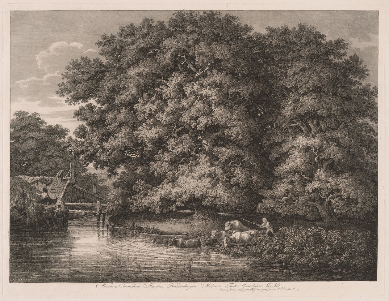 Møllen ved Great Oaks af Johann Christian Reinhart