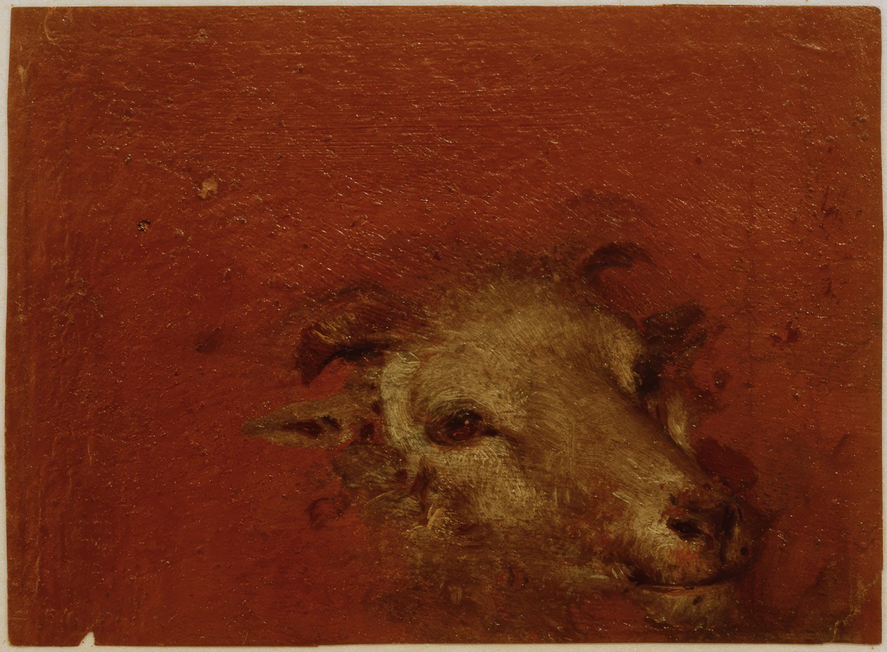 Gedehoved af Johann Conrad Seekatz