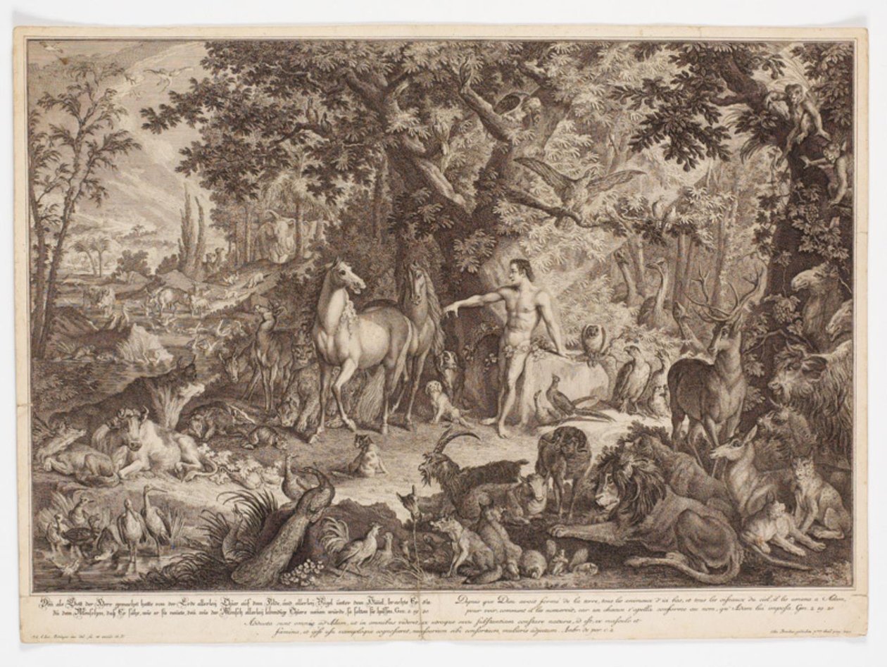 Adam giver dyrene navne af Johann Elias Ridinger