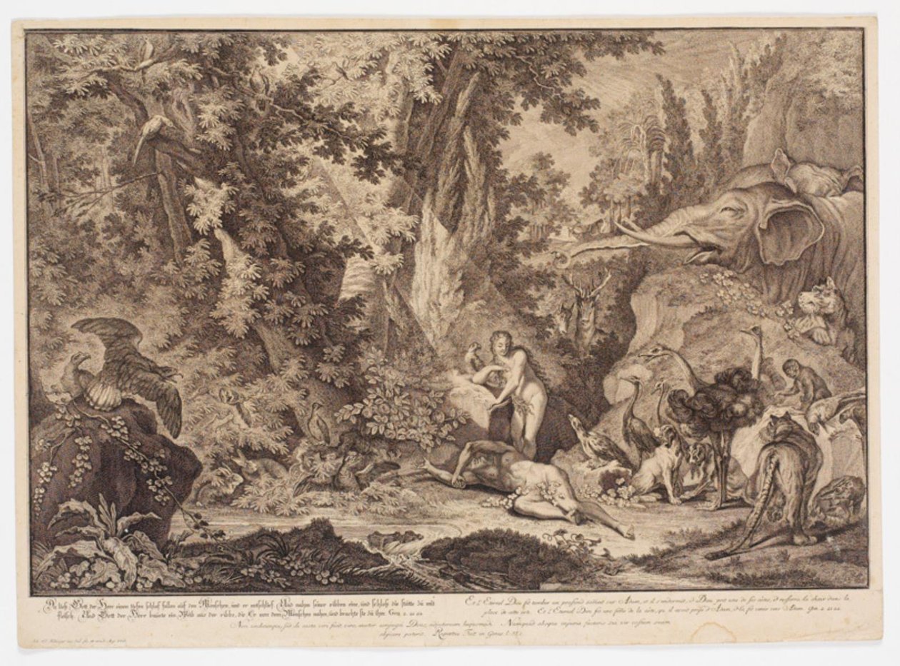 Evas skabelse af Johann Elias Ridinger