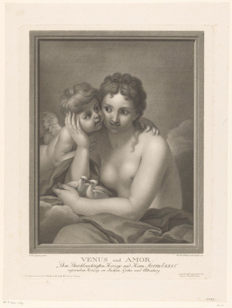 Venus forelsket af Johann Friedrich Bause