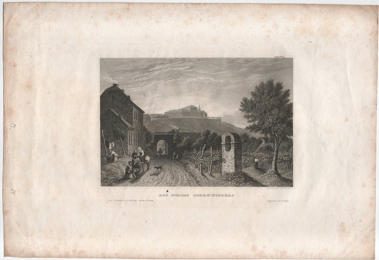 Johannisberg Slot af Johann Georg Martini