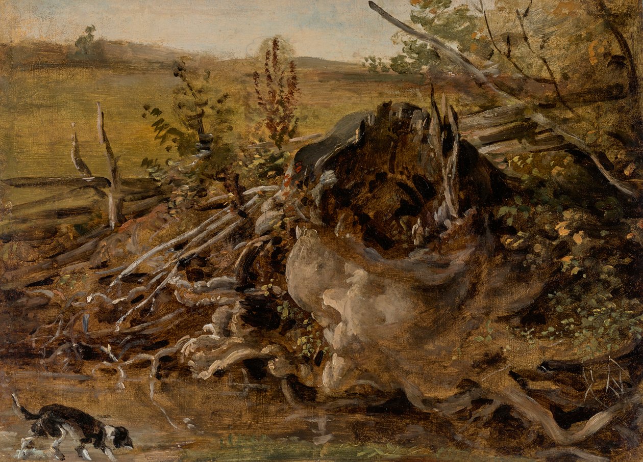 Rådnende træstub og hund af Johann Georg von Dillis