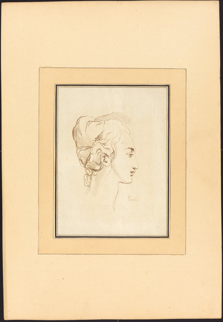 Hoved af en kvinde af Johann Gottlieb Prestel after Guercino