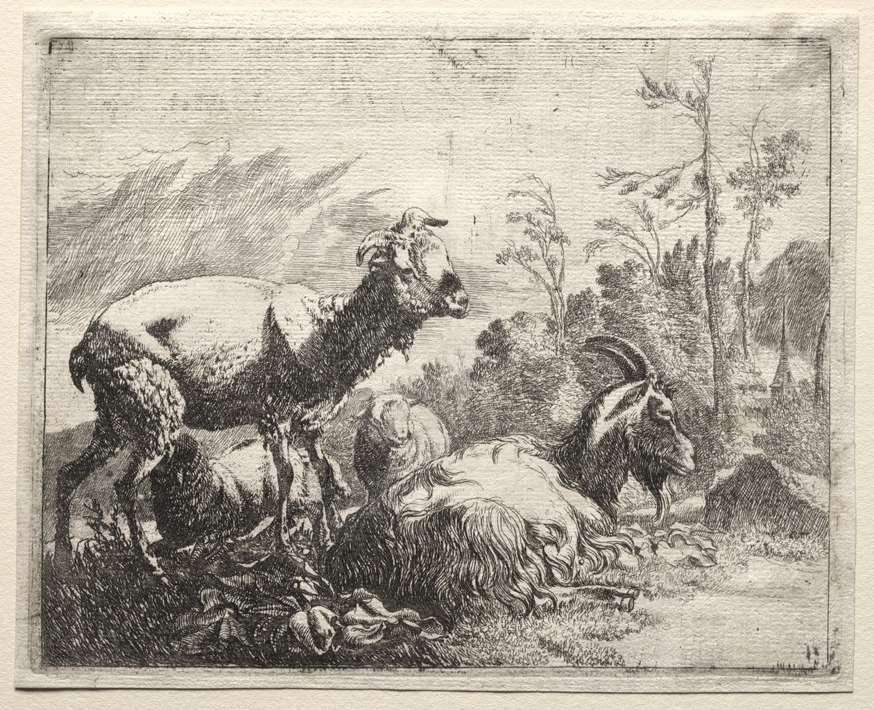 Geder af Johann Heinrich Roos