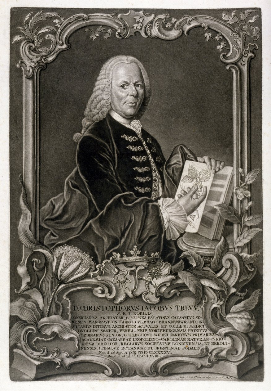 C. J. Trew, botaniker, pub. ca. 1768 af Johann Jakob Haid
