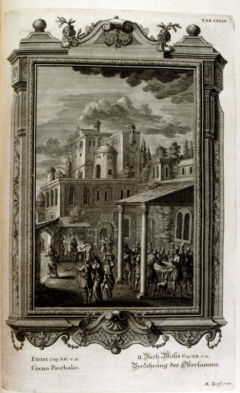 Illustration af Johann Jakob Scheuchzer