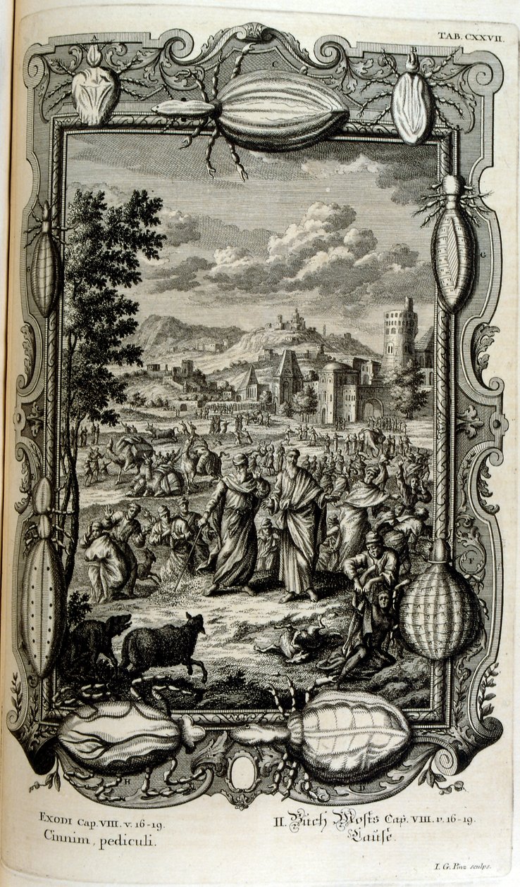 Pest af lus og myg af Johann Jakob Scheuchzer