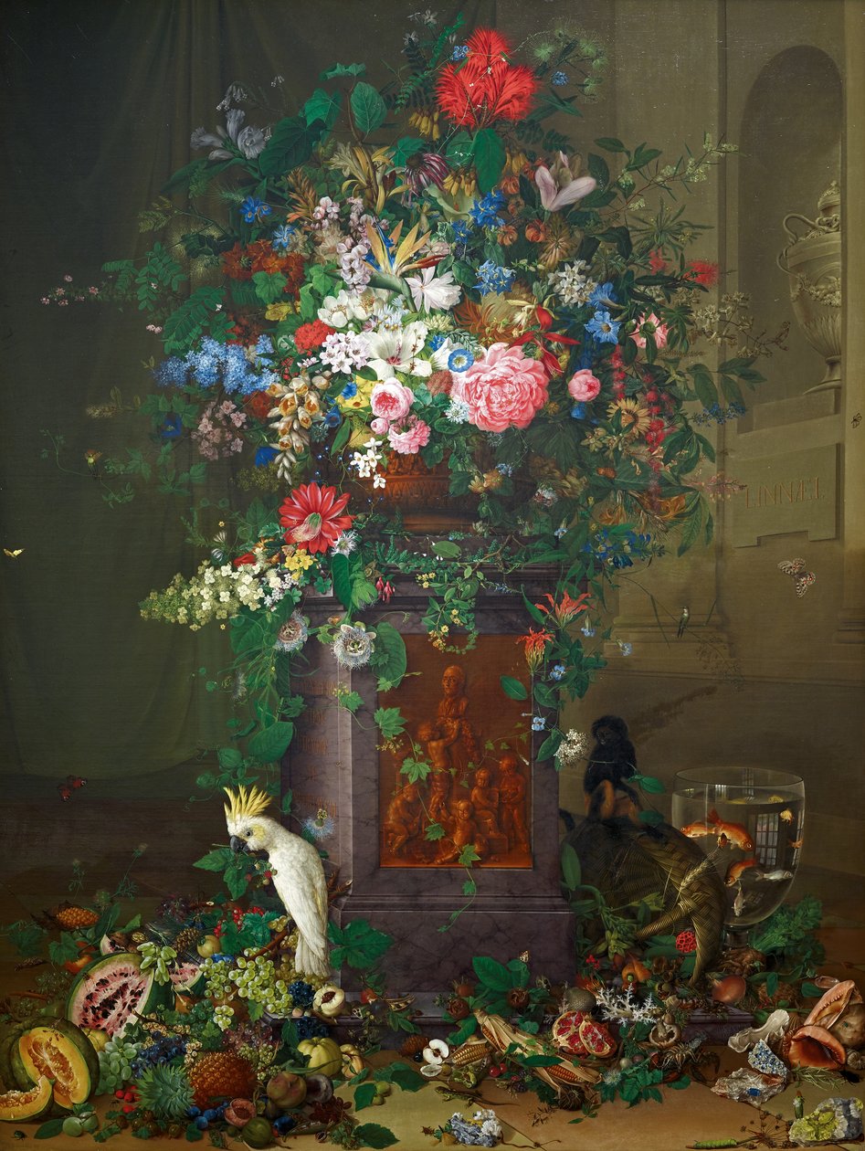 Hyldest til Jacquin ("Jacquins monument") af Johann Knapp