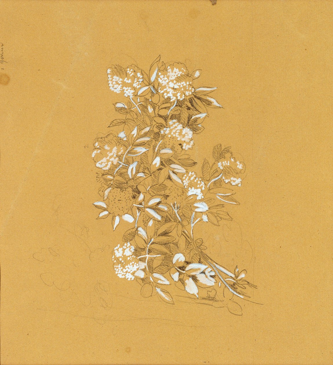 Blumenbuket af Johann Peter Krafft
