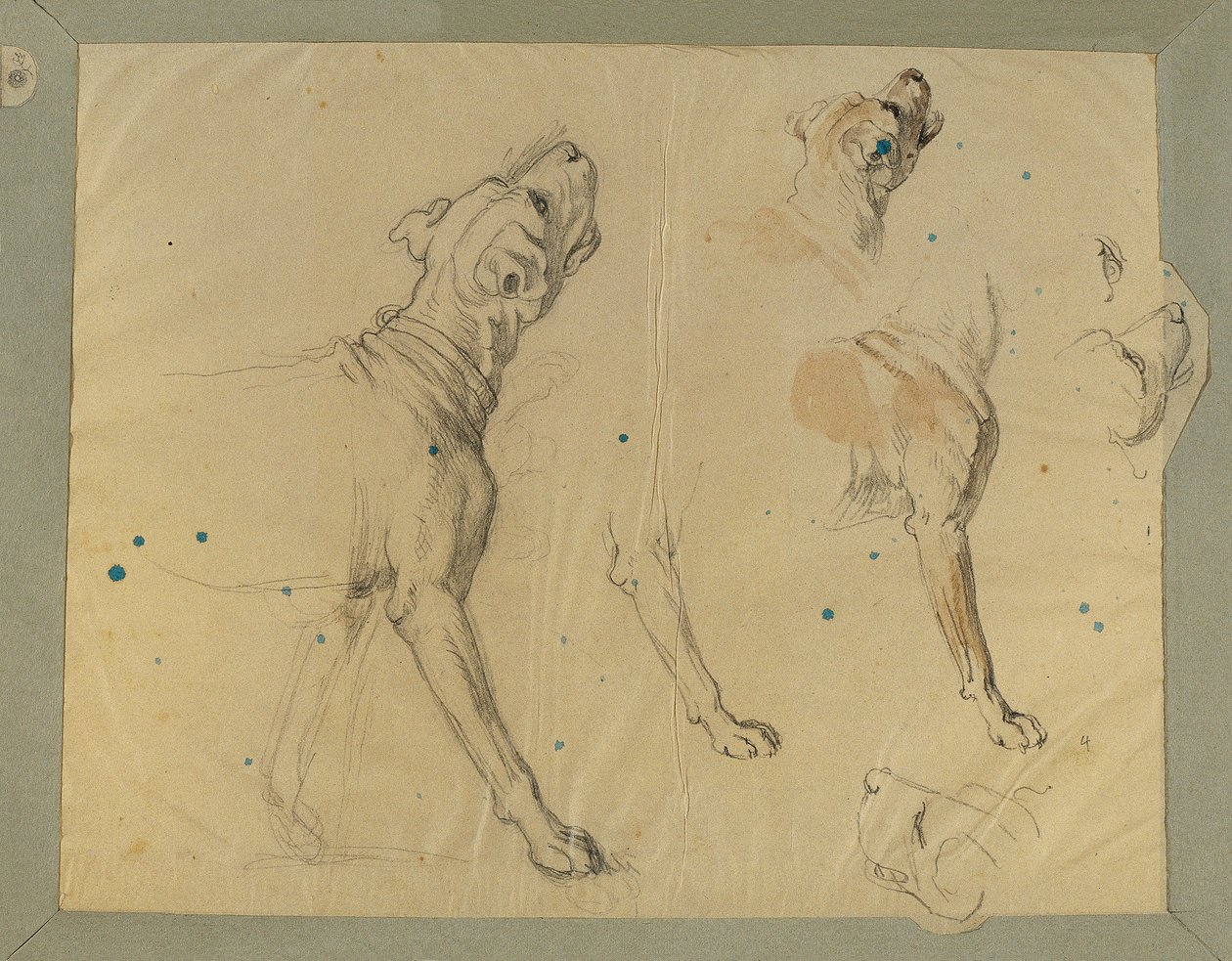 Hundestudie til "Landwehr-mandens hjemkomst" (1820) af Johann Peter Krafft