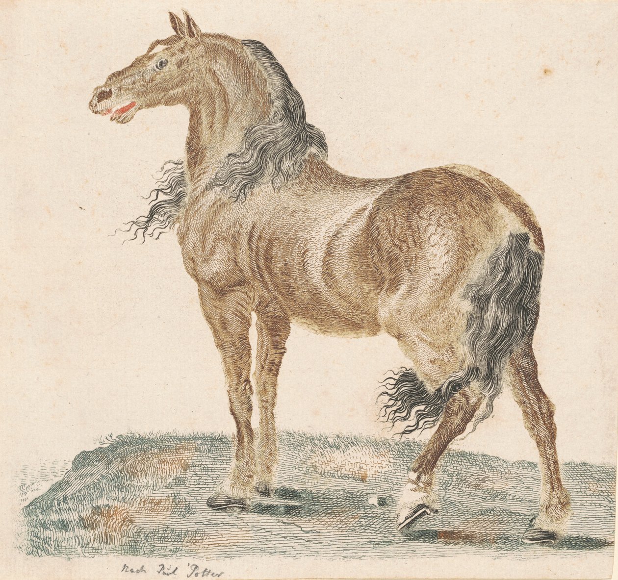 Nabohesten, 1690