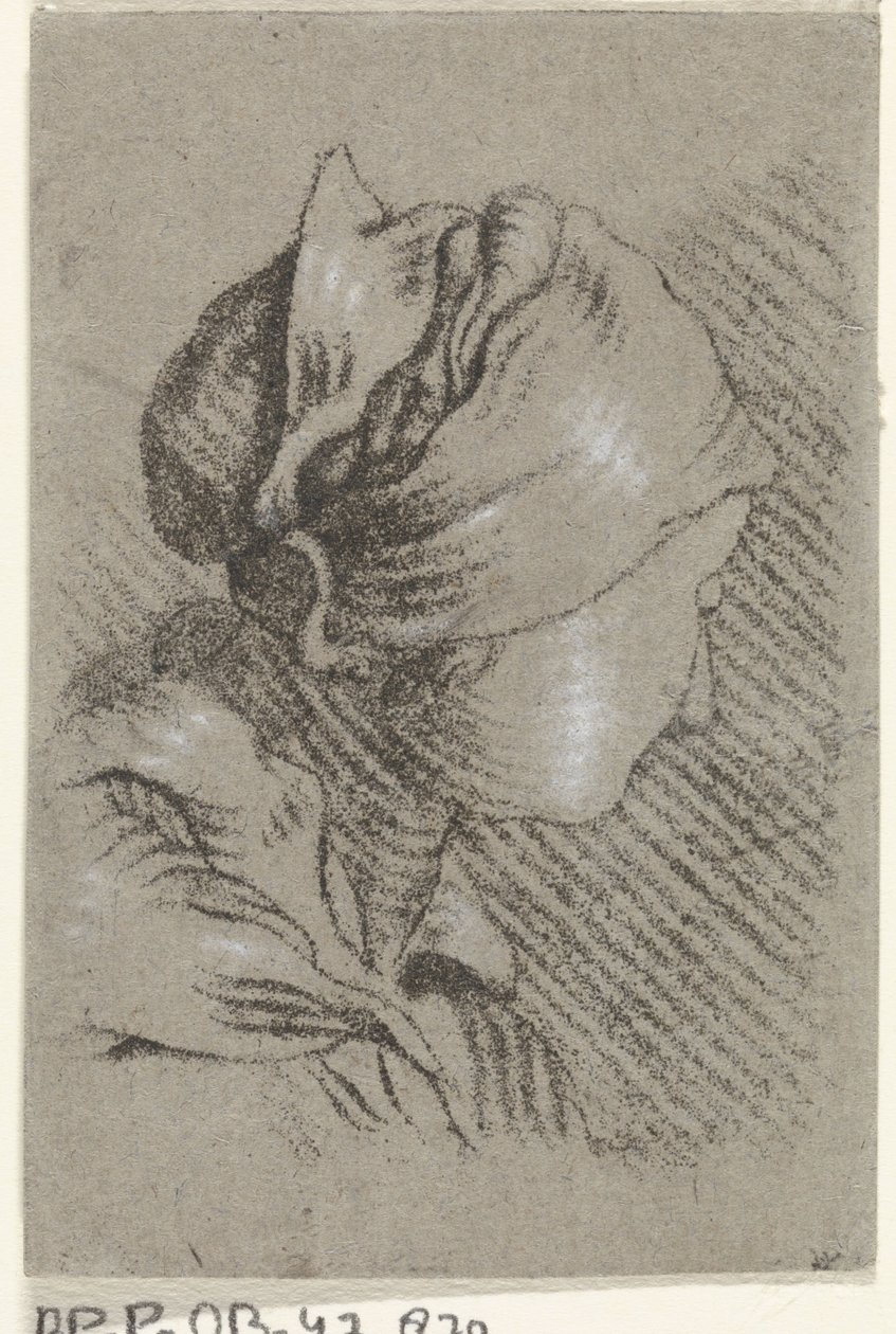 kvindebuste af Johannes Janson (possibly)