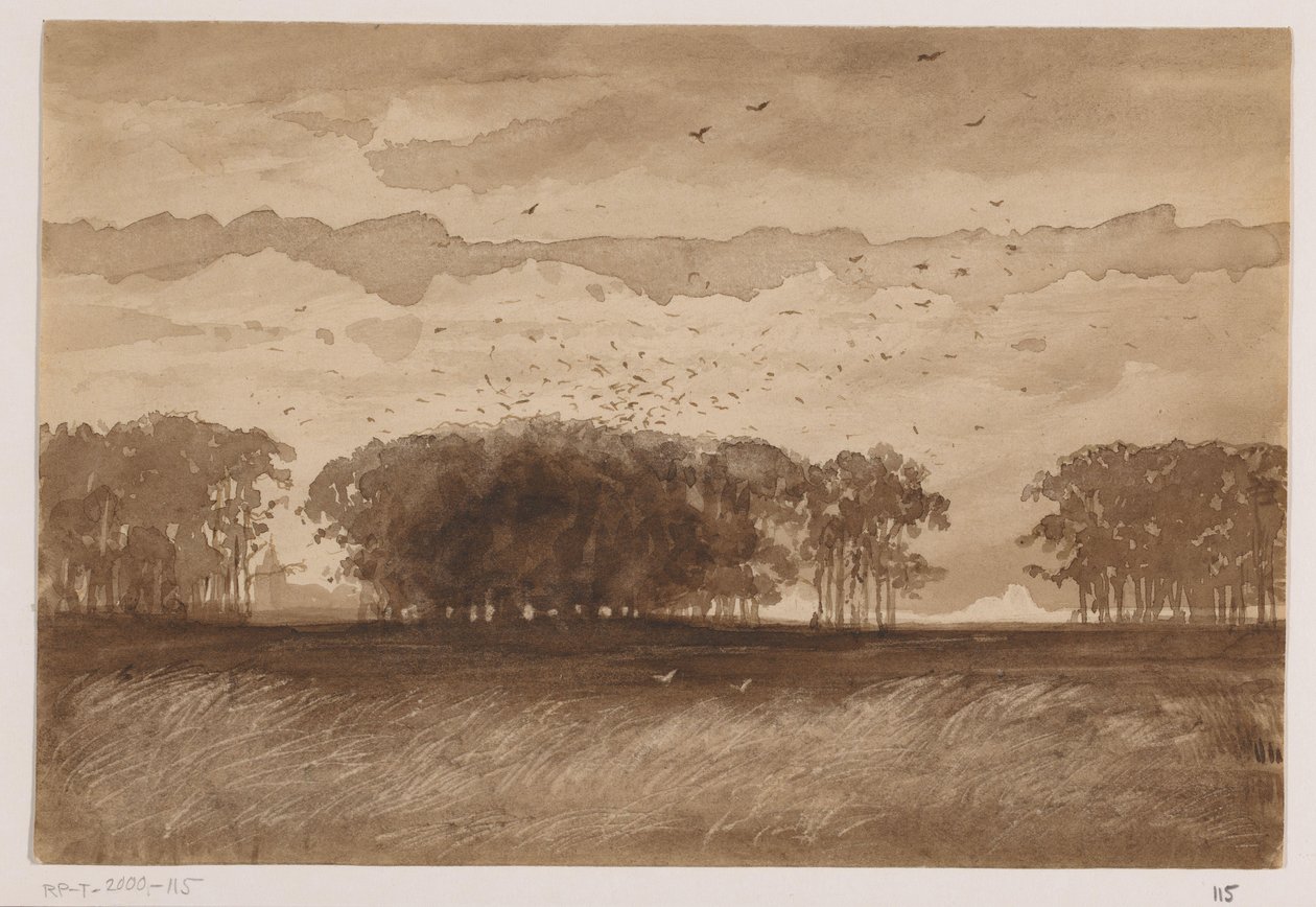 Rookery i Nordbrabant af Johannes Tavenraat (signed by artist)