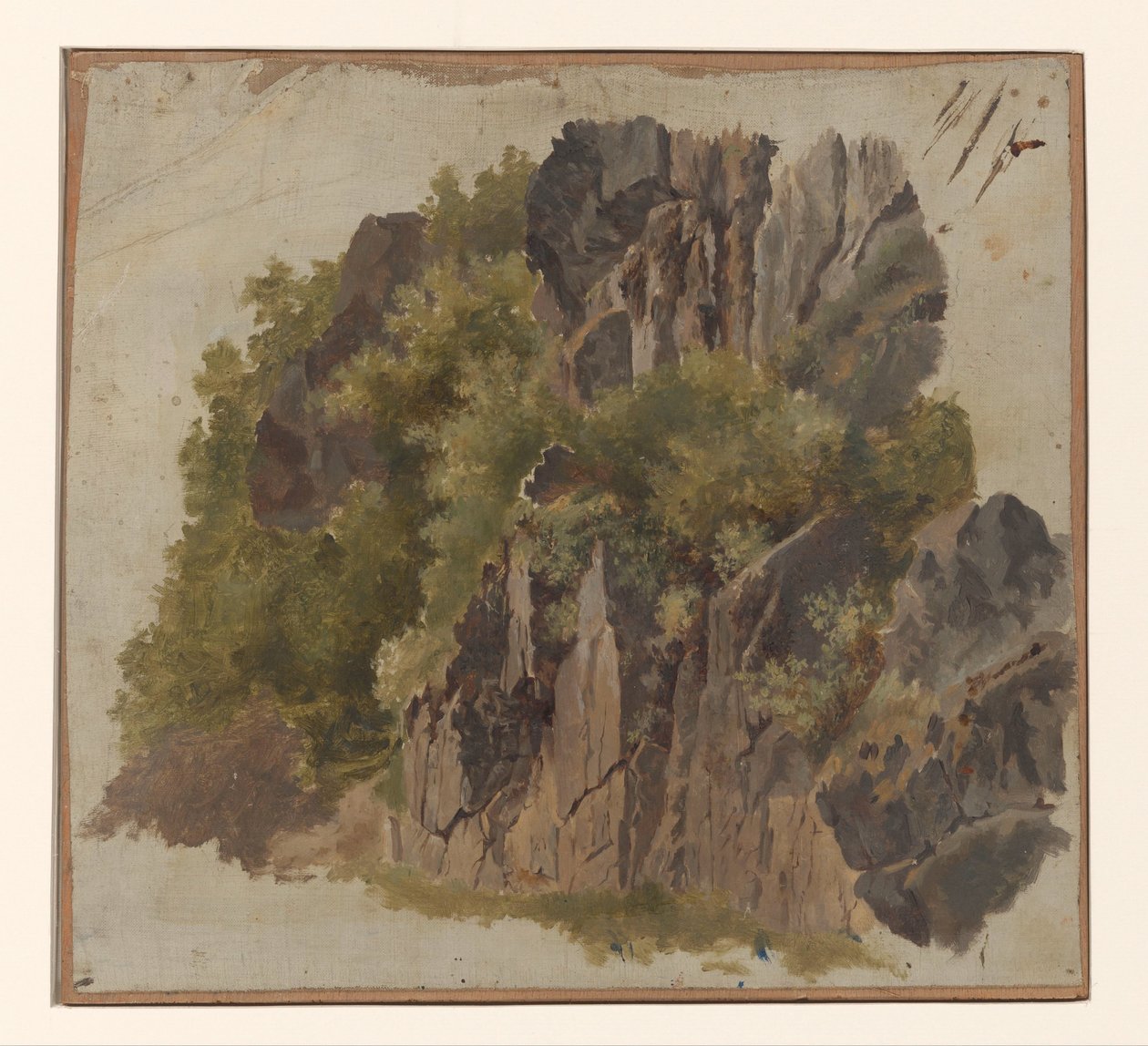 Klipper og vegetation af Johannes Tavenraat