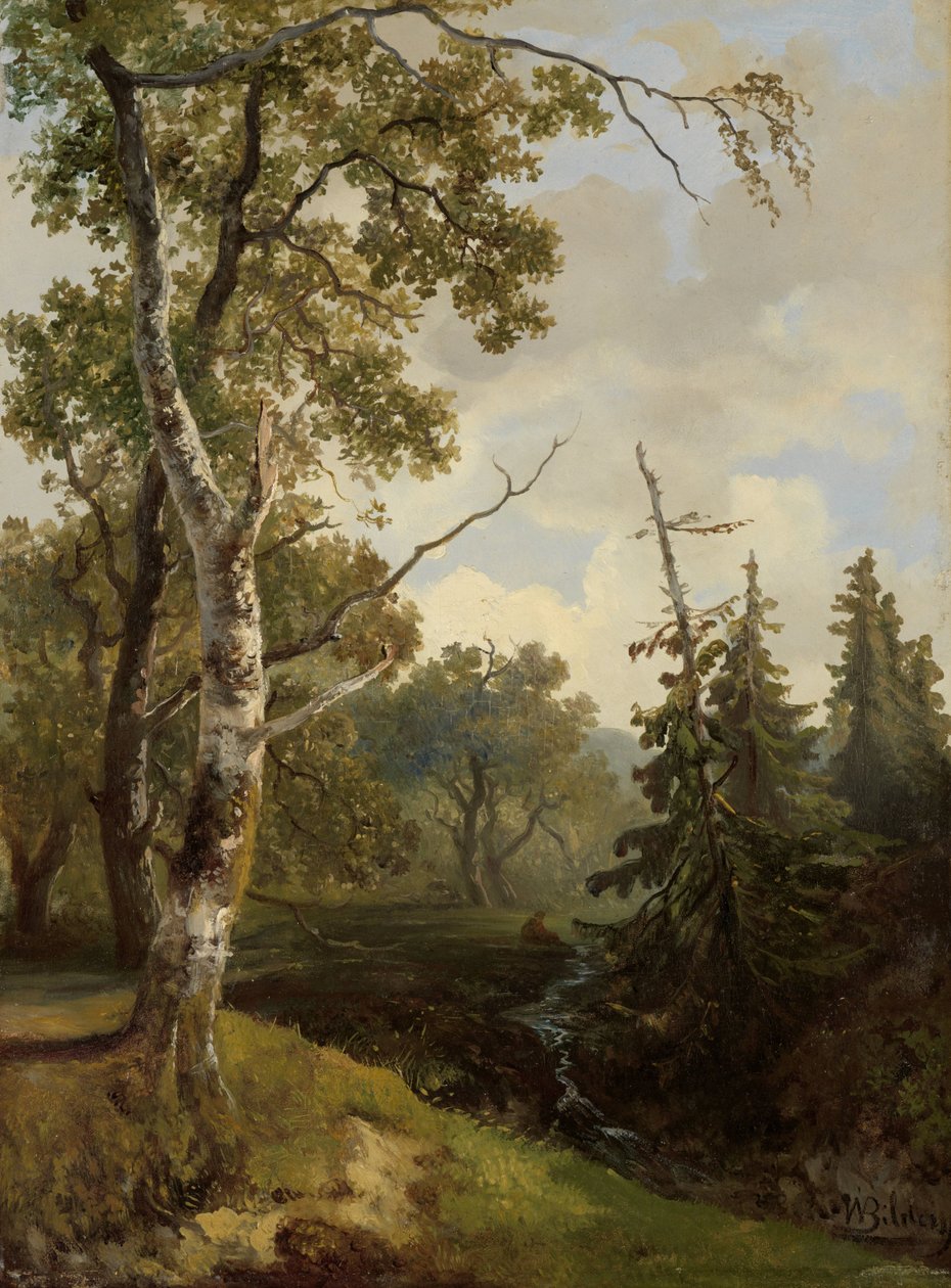 Skovudsigt ved Wolfheze. af Johannes Warnardus Bilders