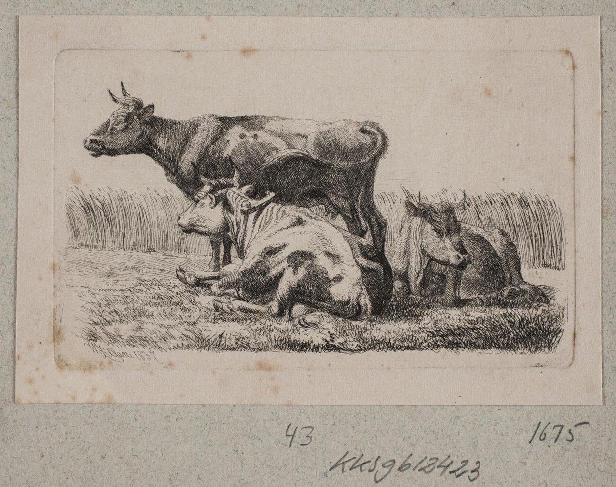Tre køer af Johannes Wilhelm Zillen