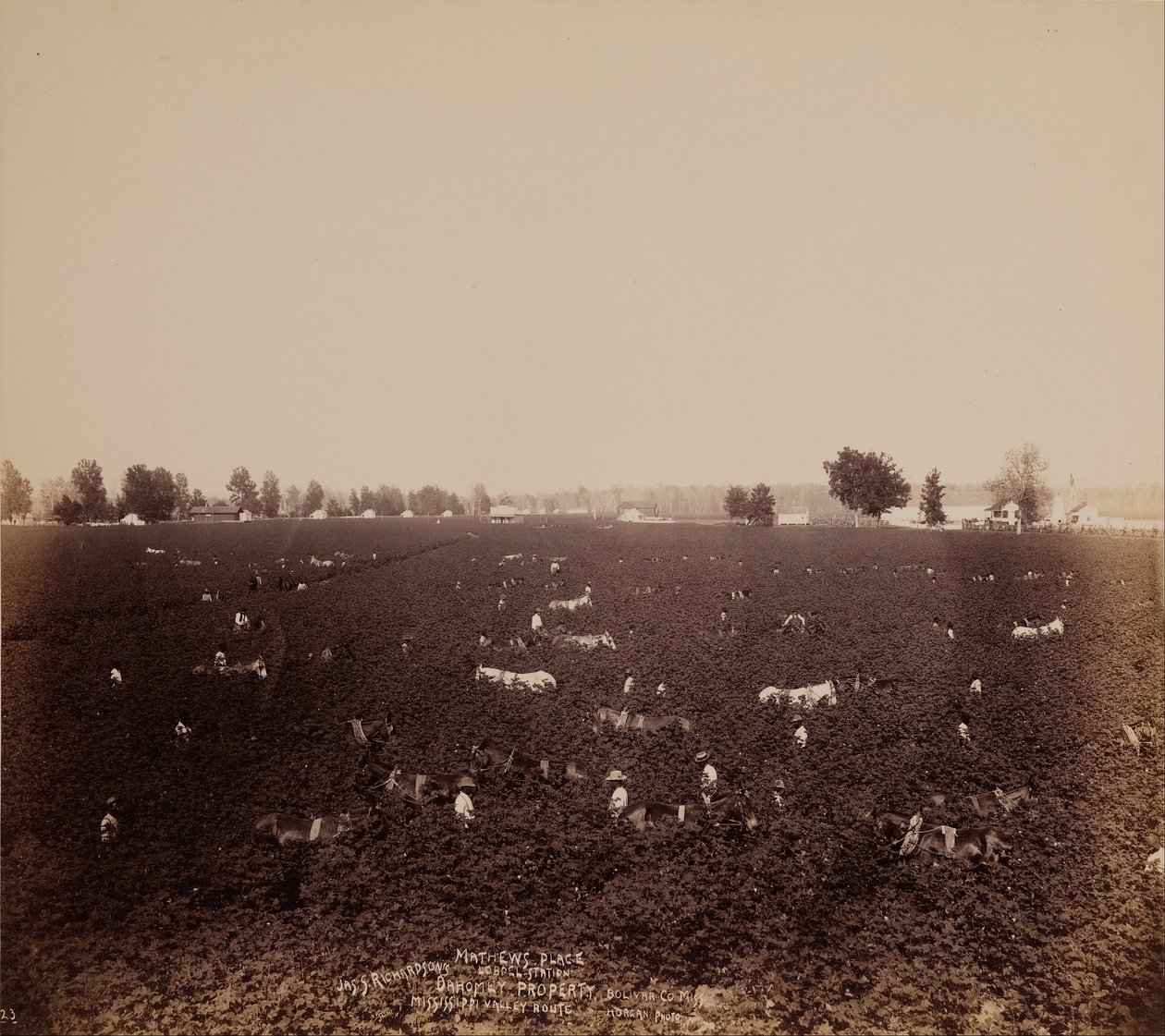 Mathews Place, Lobdell Station, Jass. Richardsons Property, Bolivar County., Miss., Mississippi Valle ... af John Horgan Jr.