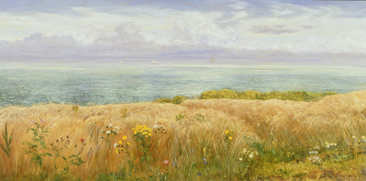 Sommer på klipperne, 1891 af John Brett