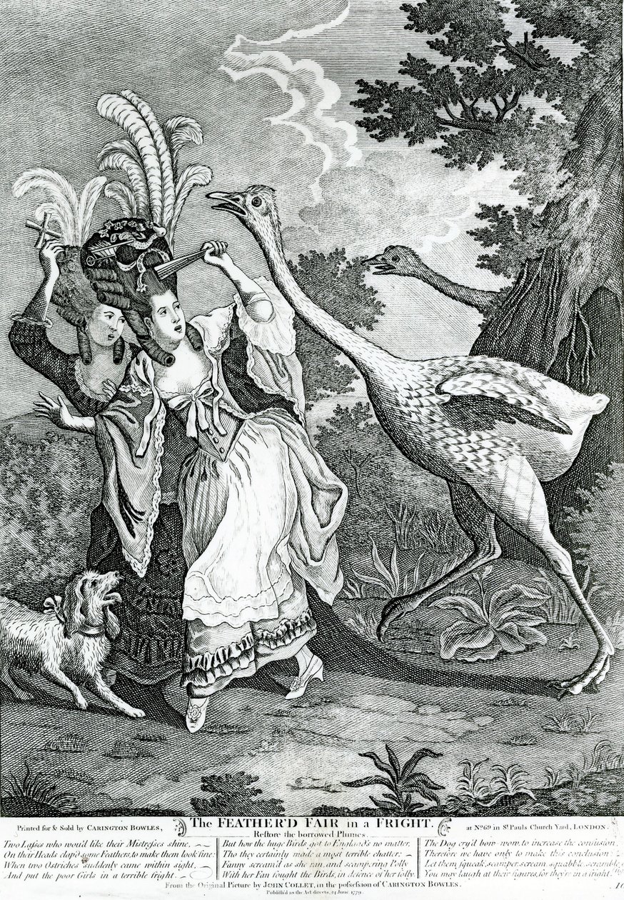 The Feathered Friend in a Fright, 1779 af John Collet