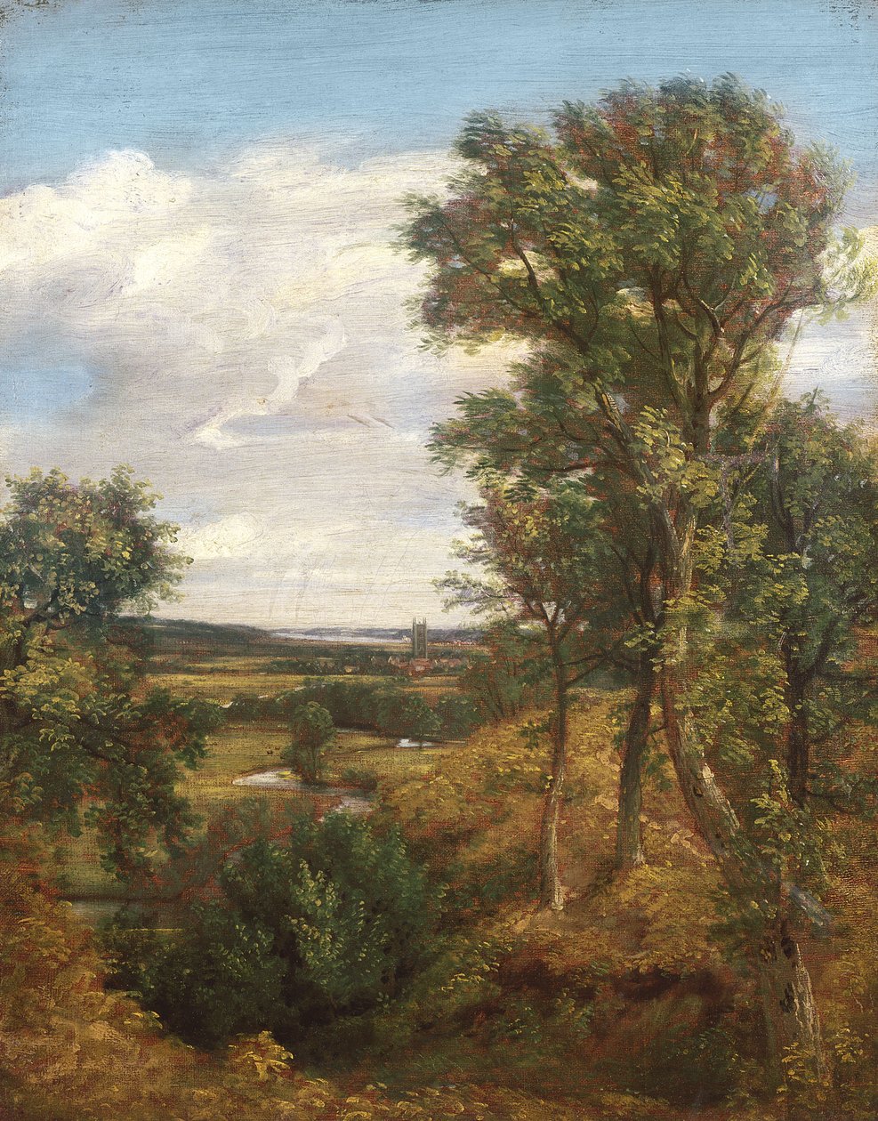 Dadham Wale, 1802 af John Constable