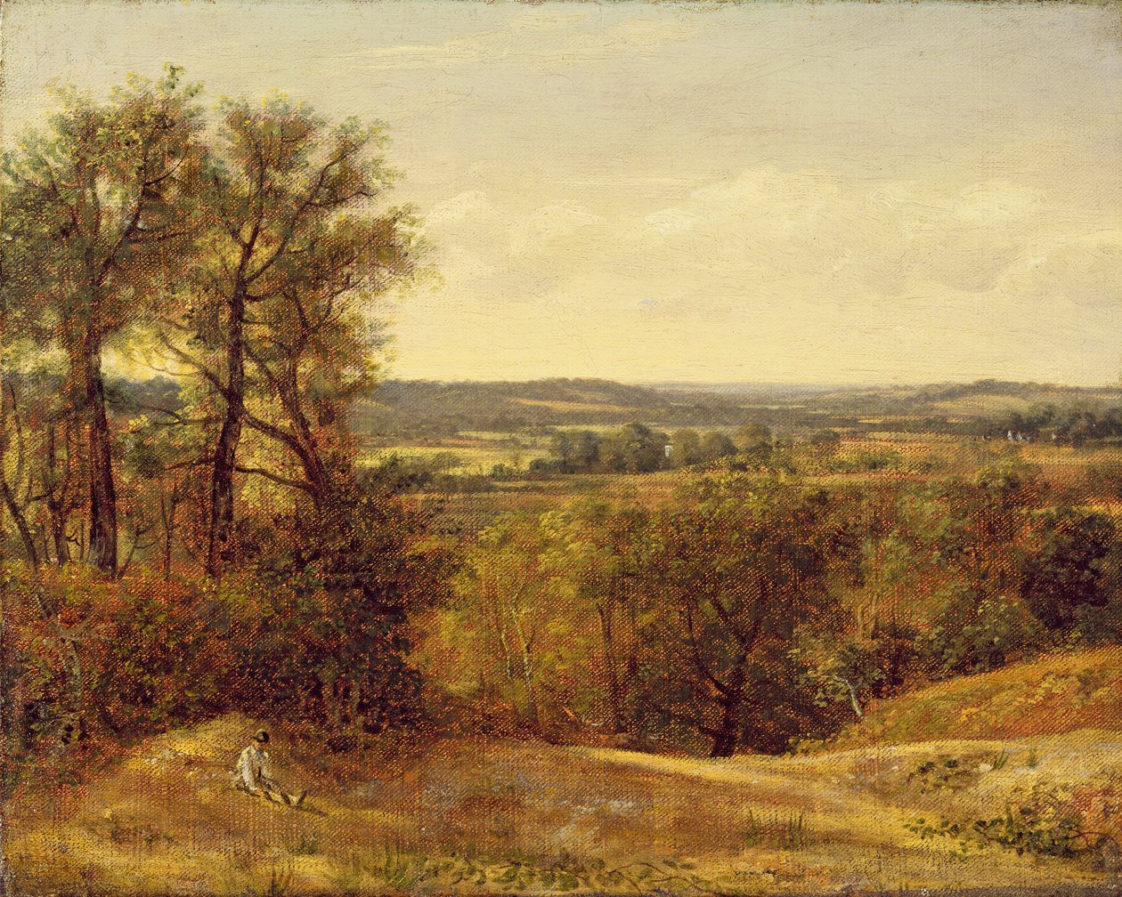 Dadham Wale, nr. 1802 af John Constable