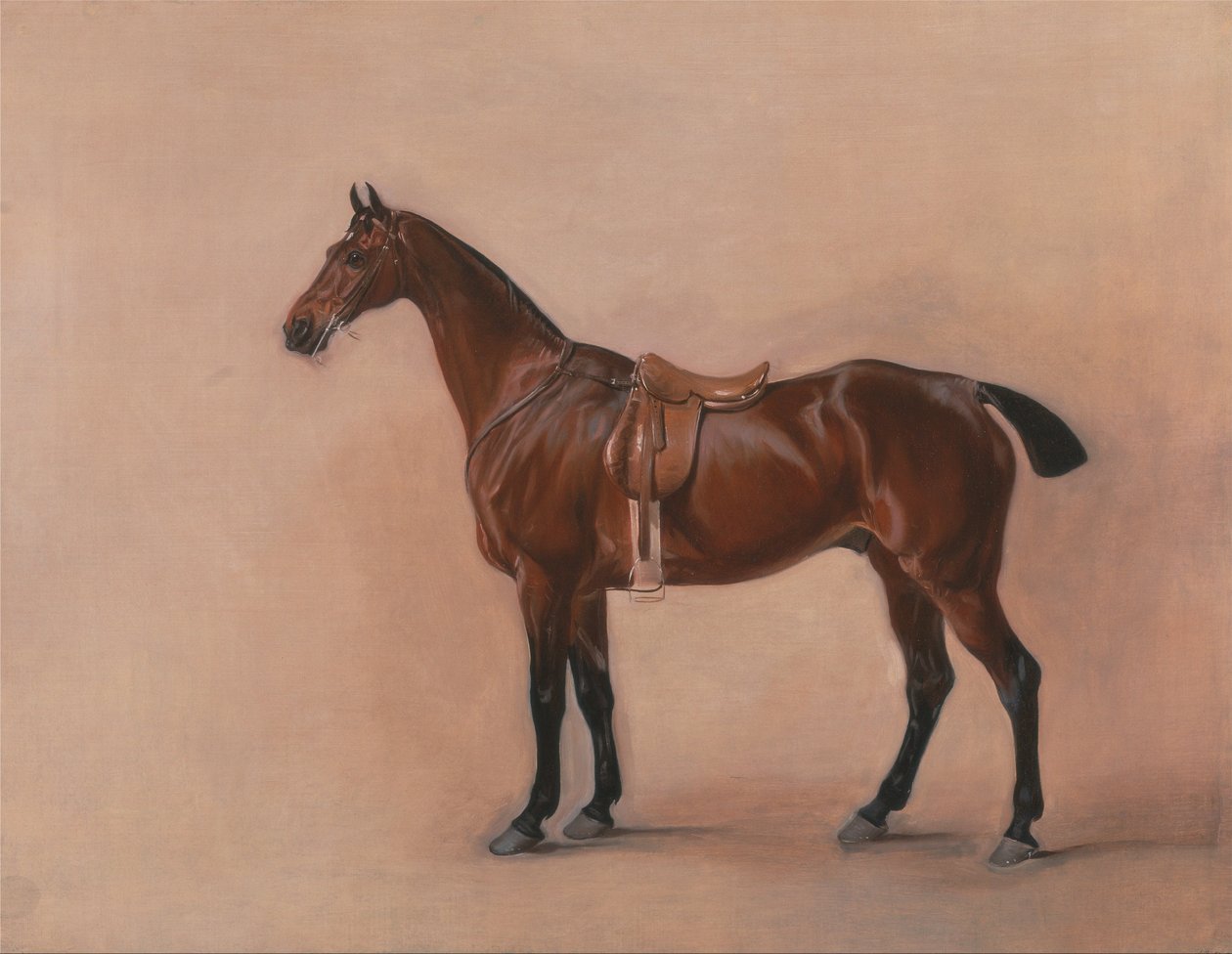Studie af en sadlet Bay Hunter af John E. Ferneley