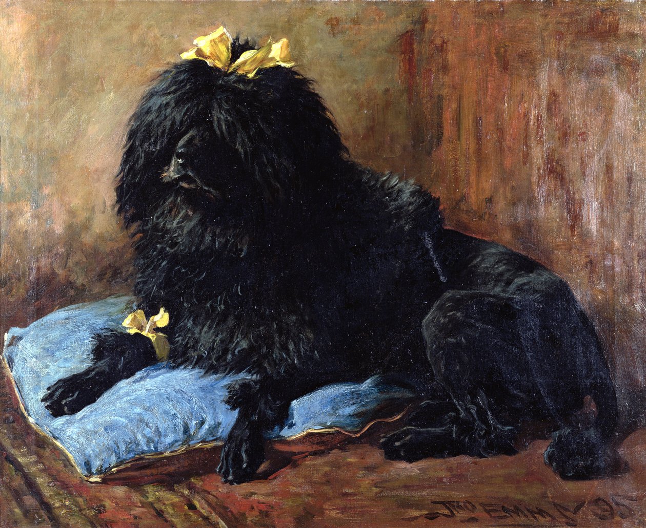 En sort standardpuddel på en blå pude, 1895 af John Emms