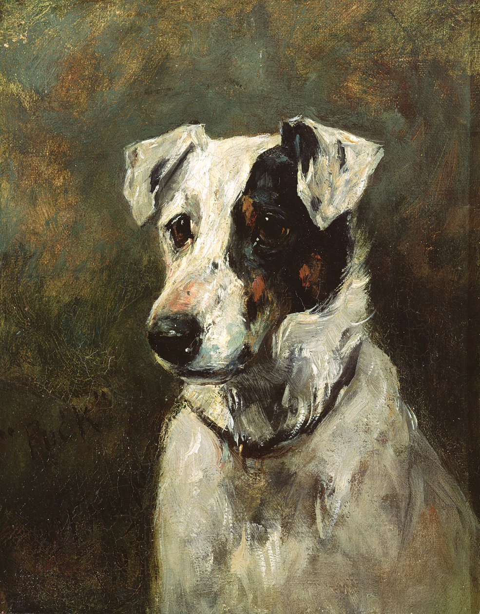 Puck, 1903 af John Emms
