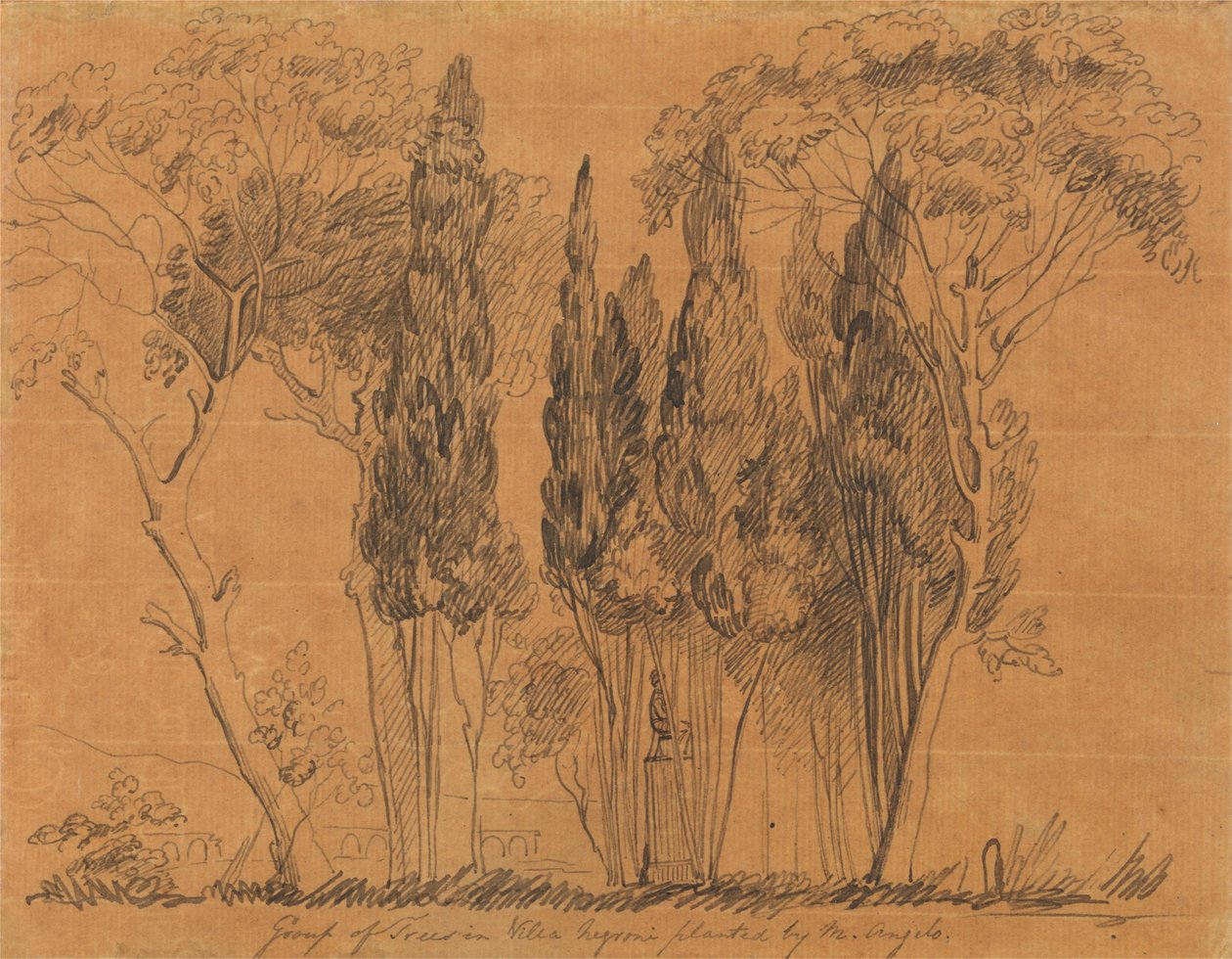 Træer i Villa Negroni plantet af M. Angelo af John Flaxman