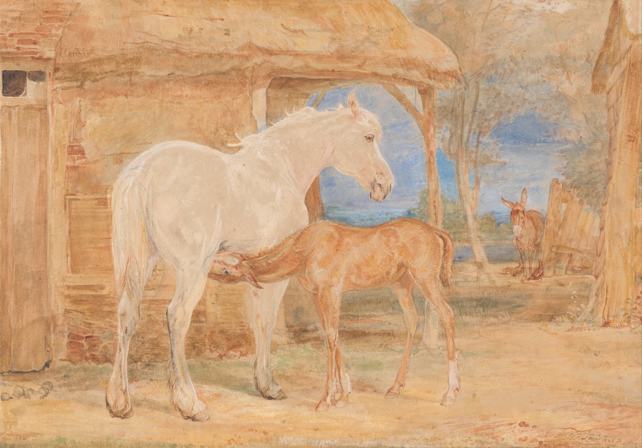 Grå hoppe og et kastanjeføl af John Frederick Lewis