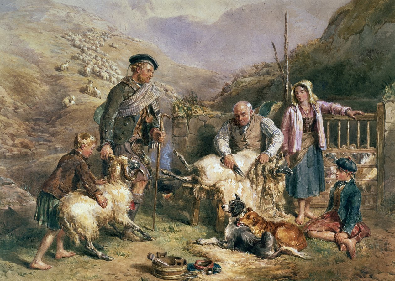 Klipning af får af John Frederick Tayler