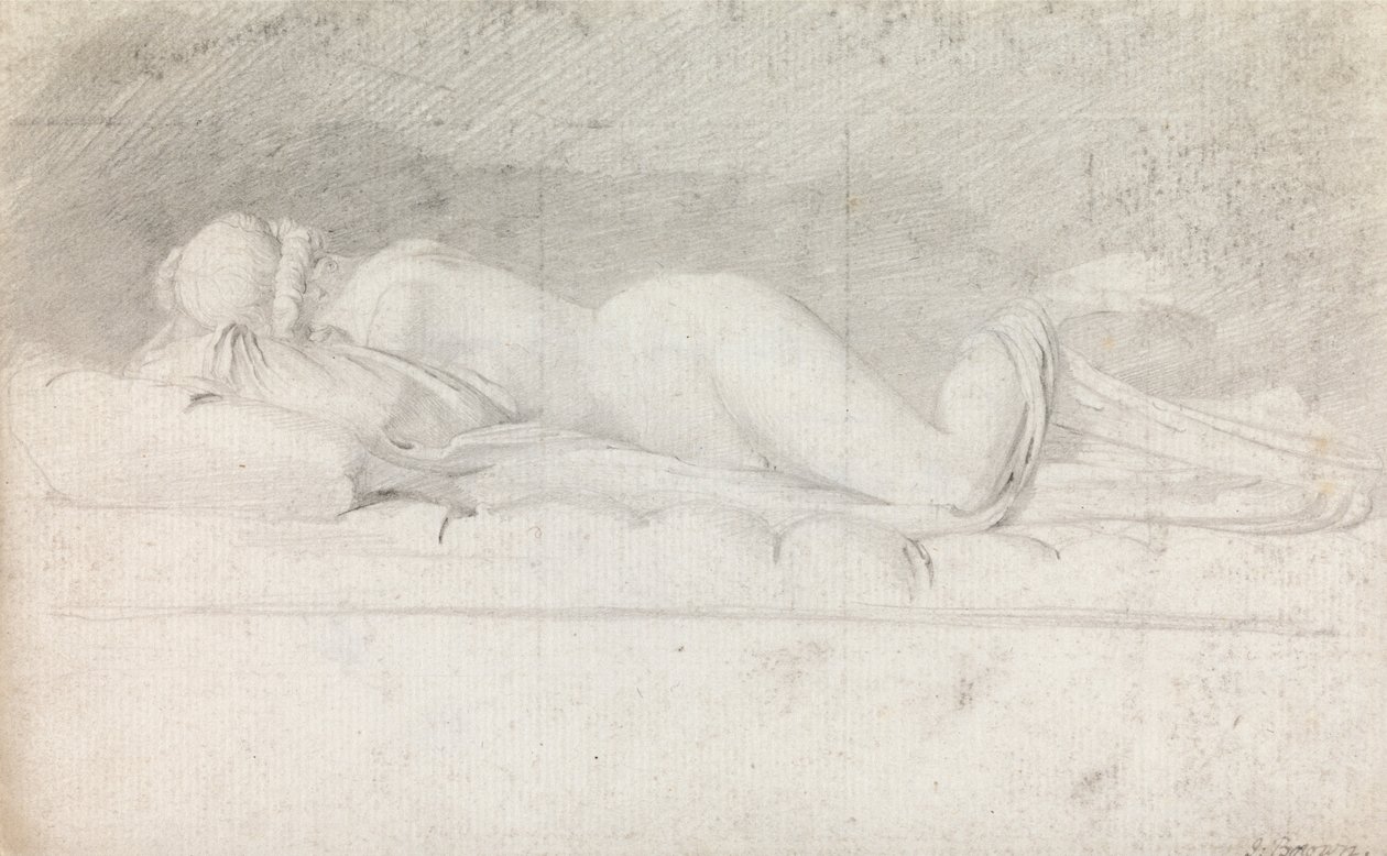 Undersøgelse af Hermafroditten af John George Brown