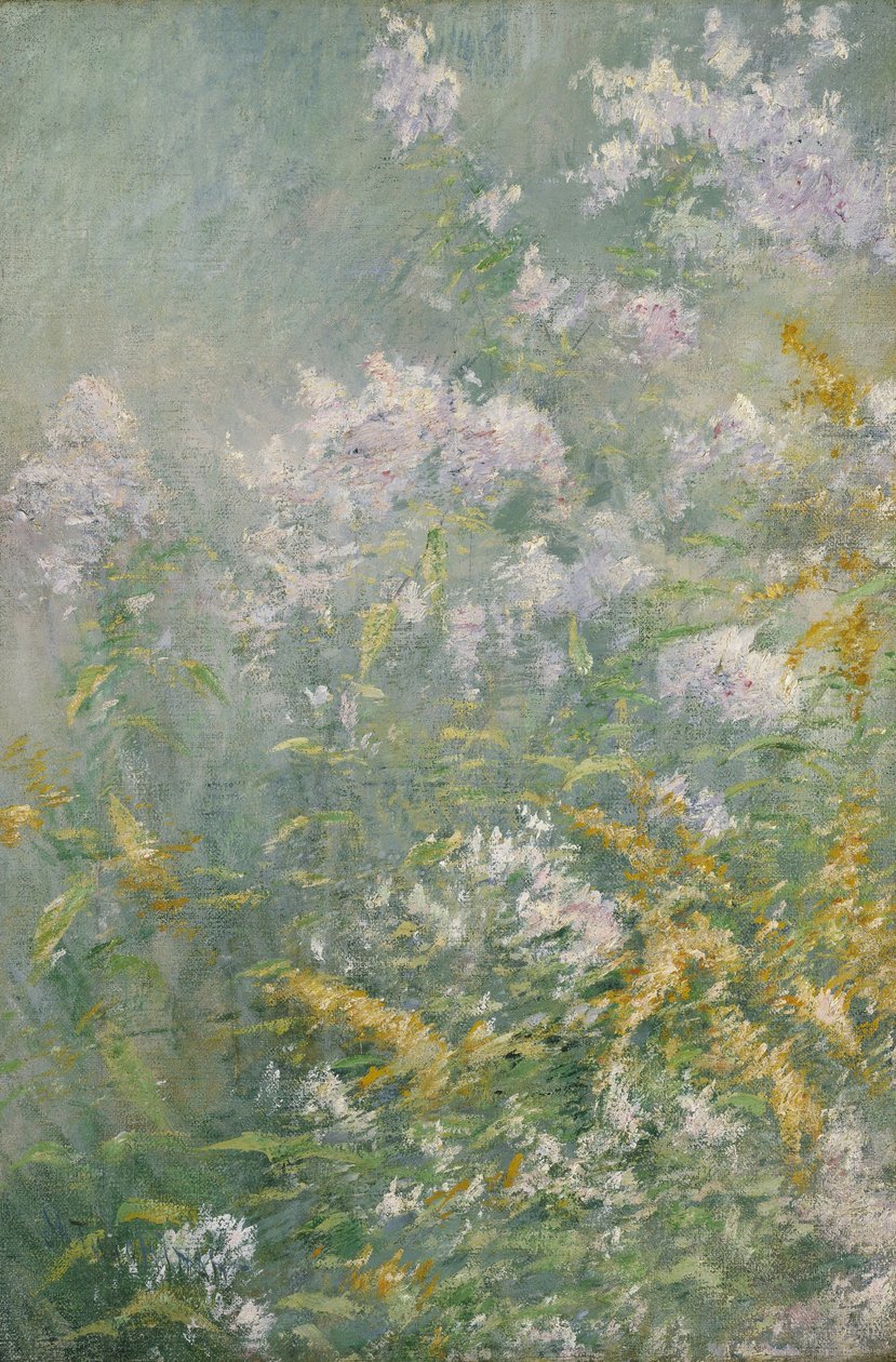 Engblomster (guldstang og vild aster) af John Henry Twachtman