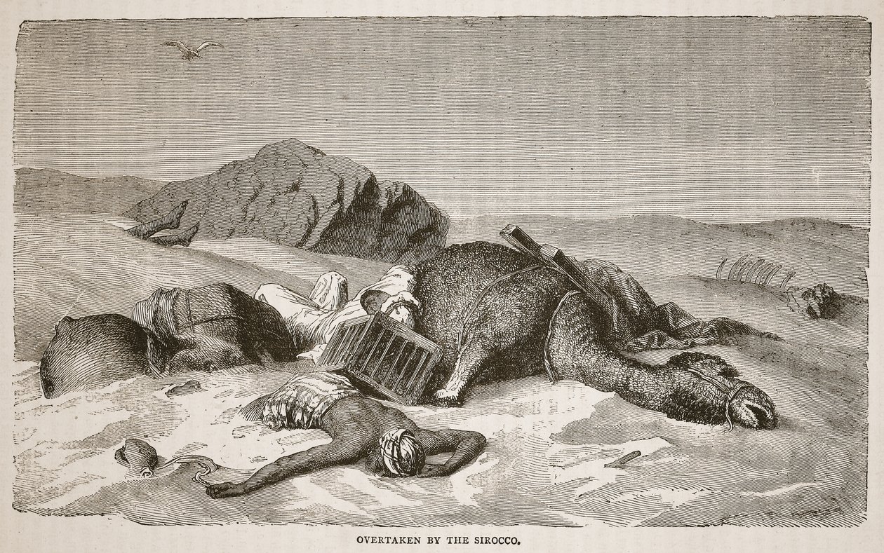 Overtaget af siroccoen, illustration fra The Pictorial Edition of the Life and Discoveries of David Livingstone af J. Ewing Richie, udgivet af A. Fullarton und Co., 1876. af John Martin