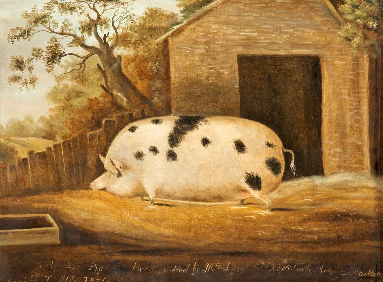 Gloucester Old Spot Pig, 1834 af John Miles of Northleach