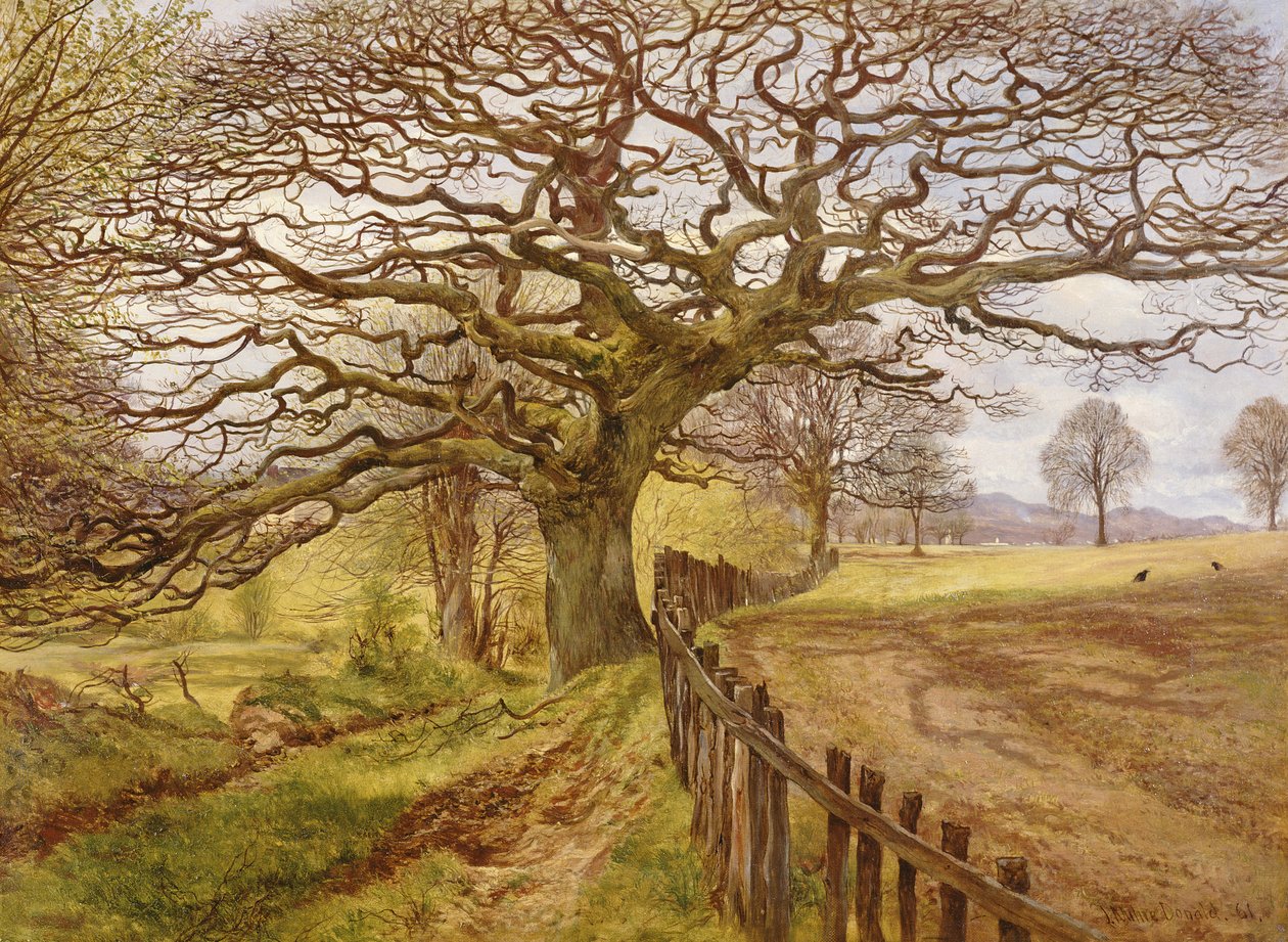 Træet, 1861 af John Milne Donald