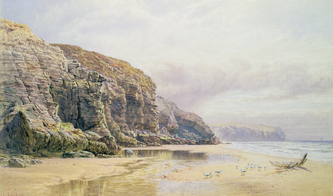 Cornwalls kyst af John Mogford