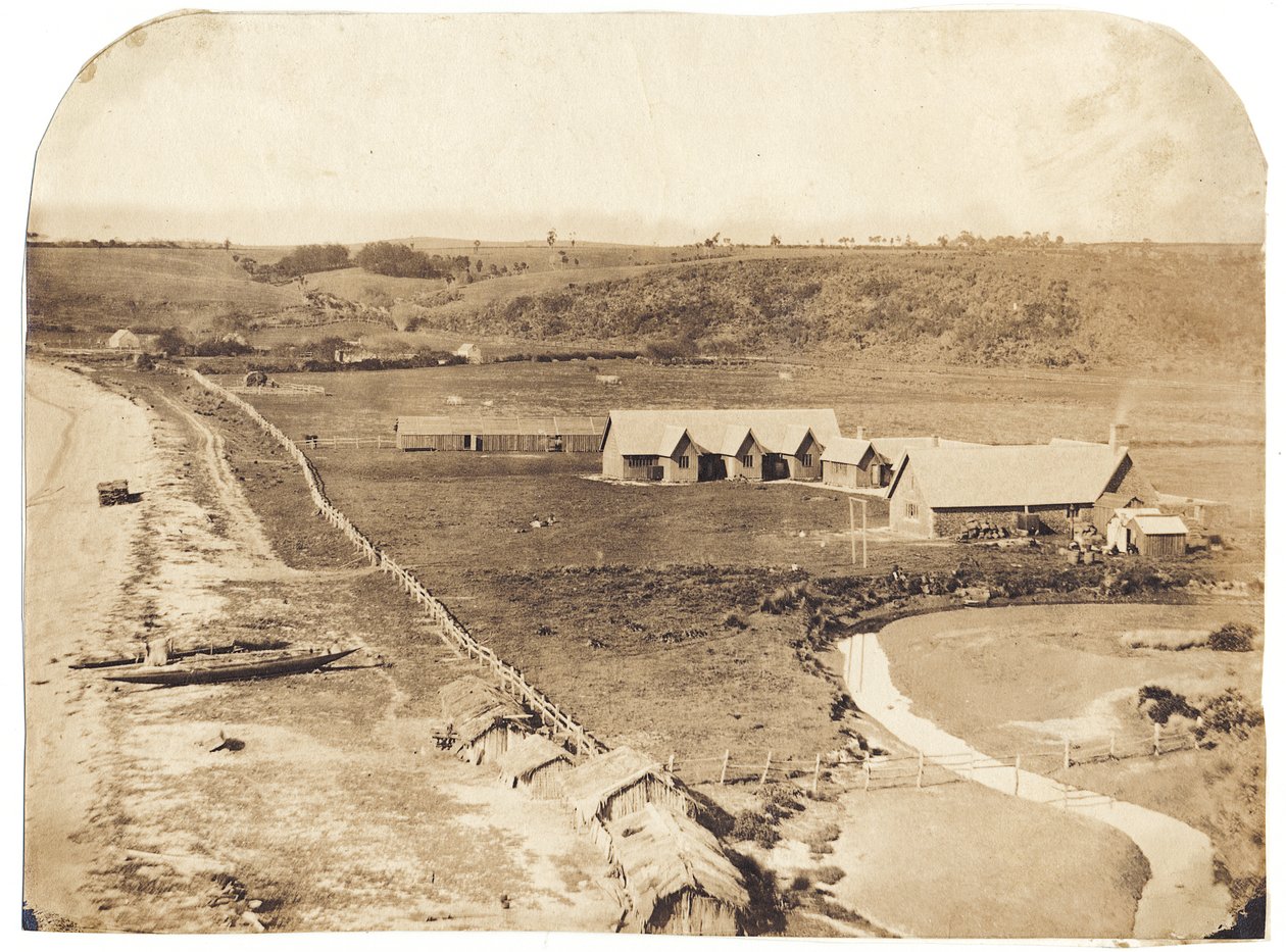 Kohimarama, ca. 1860 (albuminiseret salttryk) af John Nicol Crombie