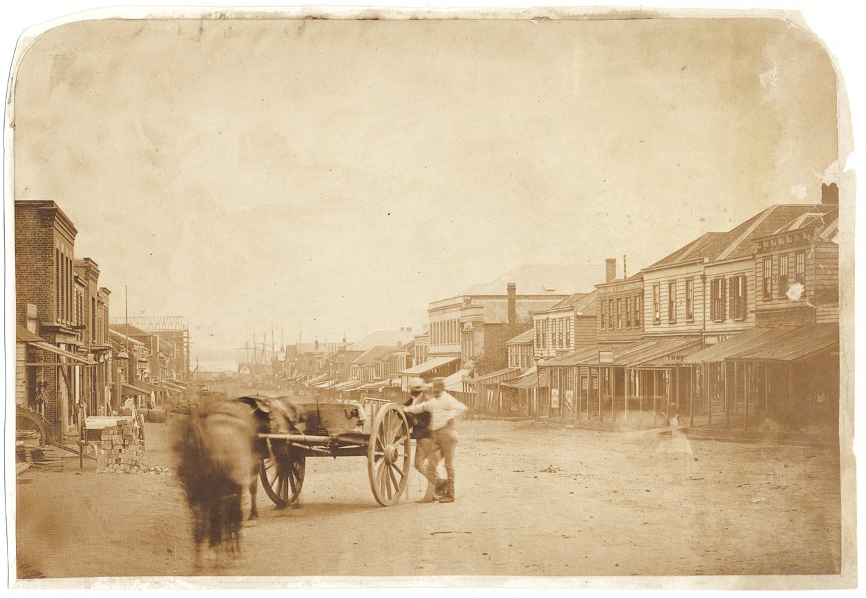 Upper Queen Street, Auckland, efter 1859 (albuminiseret salttryk) af John Nicol Crombie