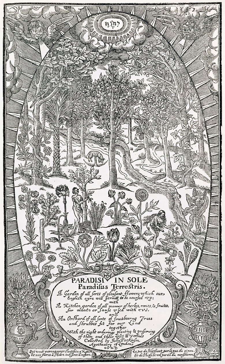 Titelblad fra Paradisi Sole; Paradisus Terrestris, 1629 af John Parkinson