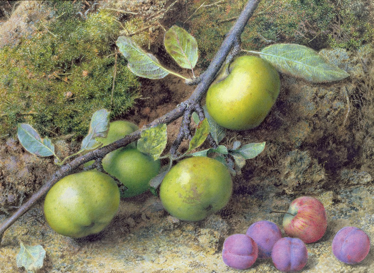Æbler og blommer på en mosede bank (gouache) af John Sherrin
