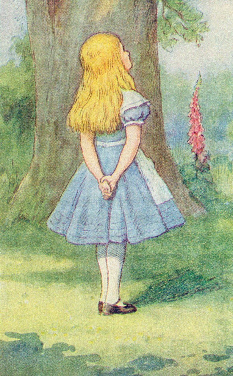 Alice og Cheshire-katten, illustration fra "Alice i Eventyrland" af Lewis Carroll (1832-9) (detalje af 264483) af John Tenniel