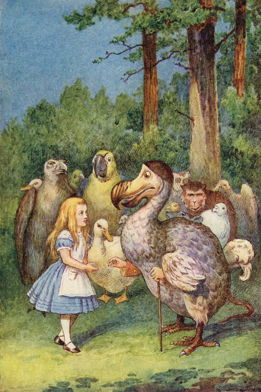 Dodoen giver Alice et fingerbøl (farvegravering) af John Tenniel