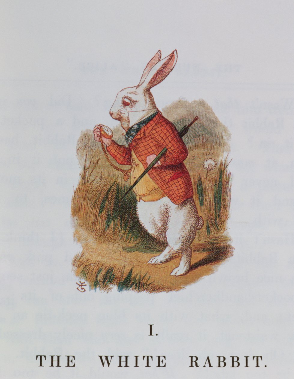 The White Rabbit, illustration fra 