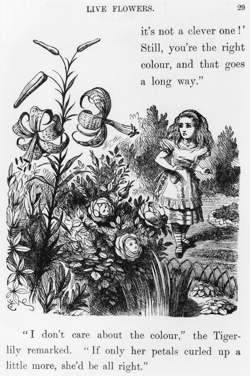 Tiger Lily, fra 