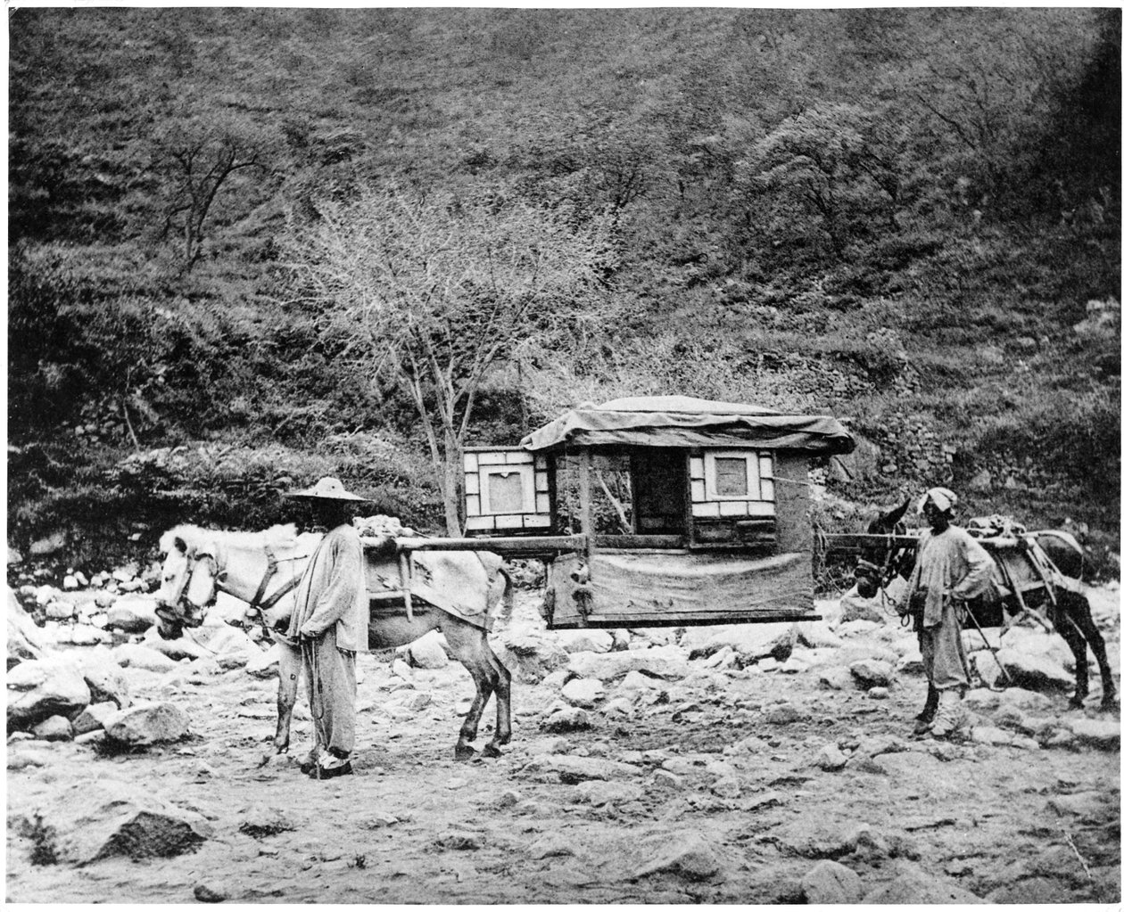 Pekingesisk muldyrskuld, ca.1867-72 af John Thomson