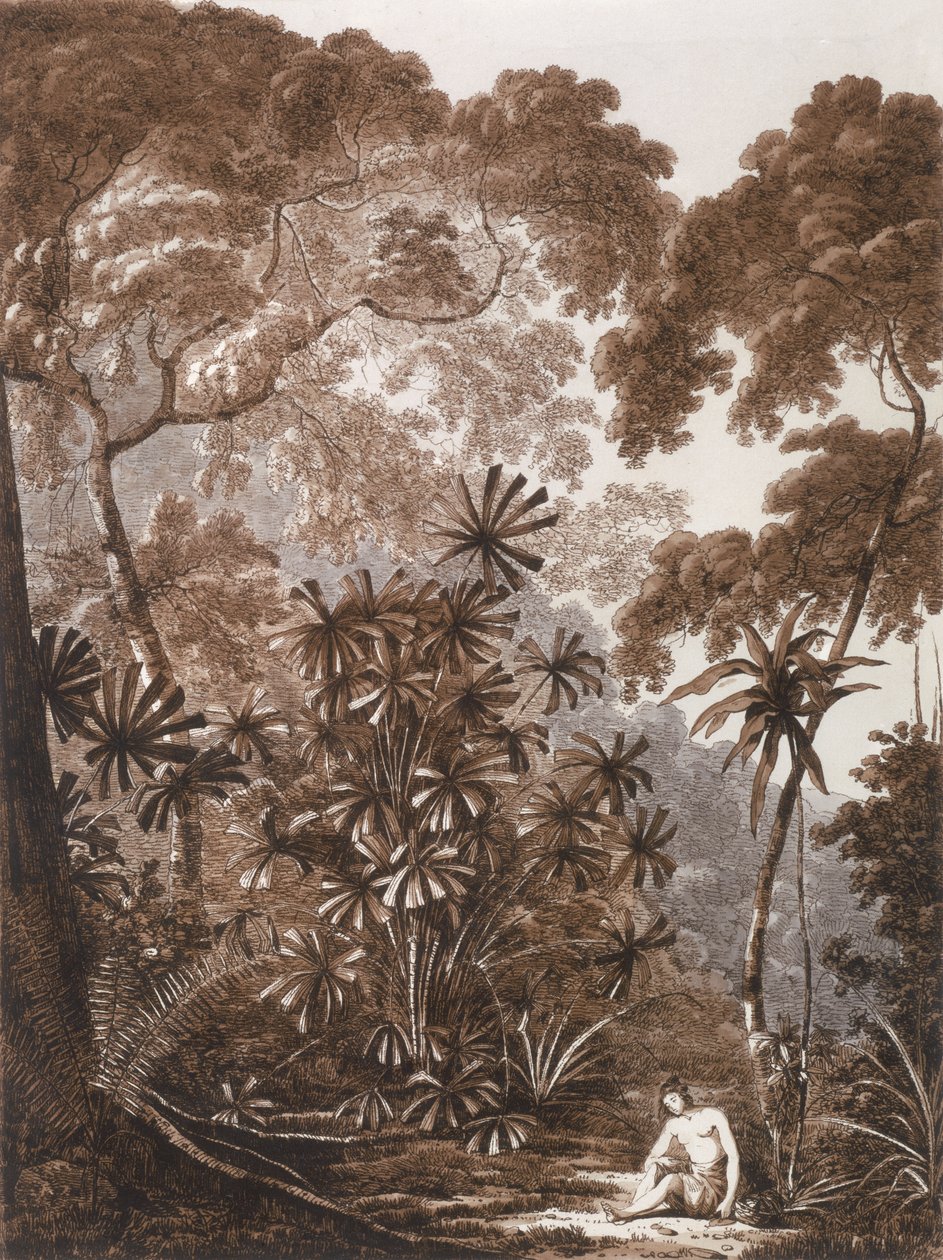 Fan Palm på øen Krakatoa, fra 
