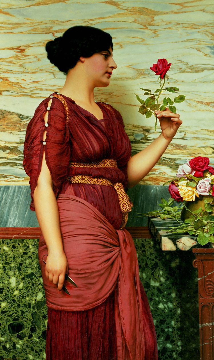 En rød, rød rose af John William Godward