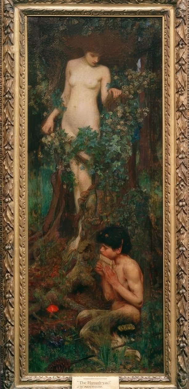En Hamadryad af John William Waterhouse